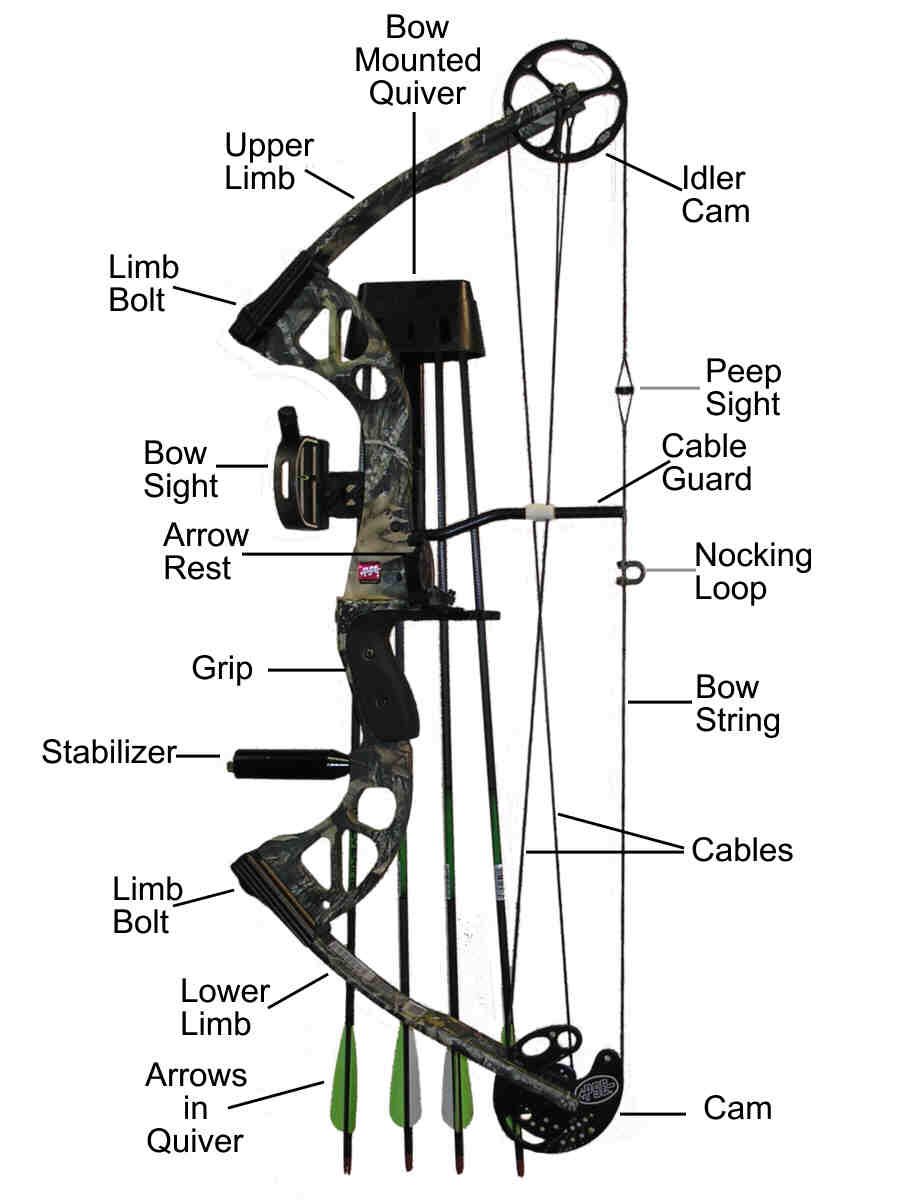 Details about   Workhorse helps release of the arc with stabilizer for compound bow show original title