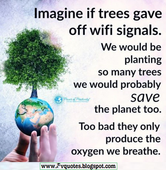 Imagine if trees gave off WiFi signals we would be planting so many