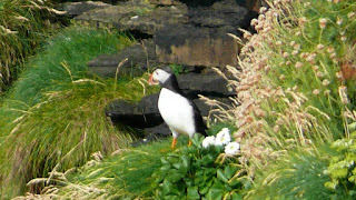 Ducansby Head