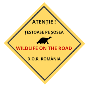 D.O.R. Fauna pe sosea