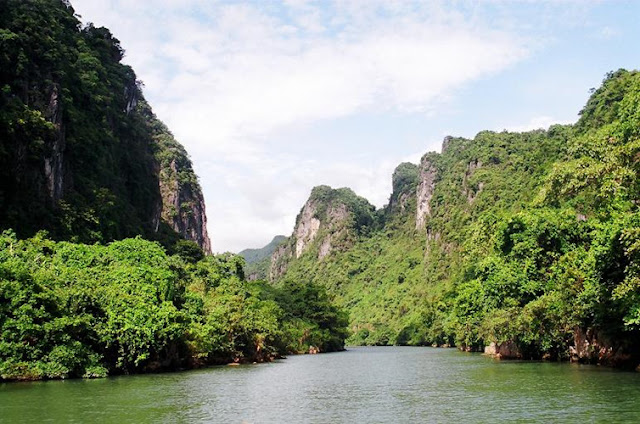 Khám phá 5 điểm du lịch có hệ động thực vật độc đáo nhất Việt Nam