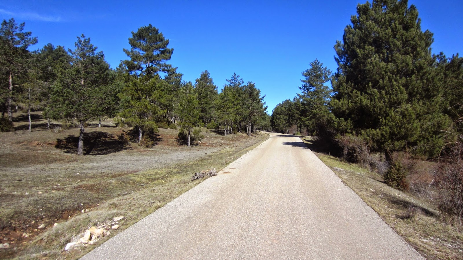 Peña del Acebo (V)