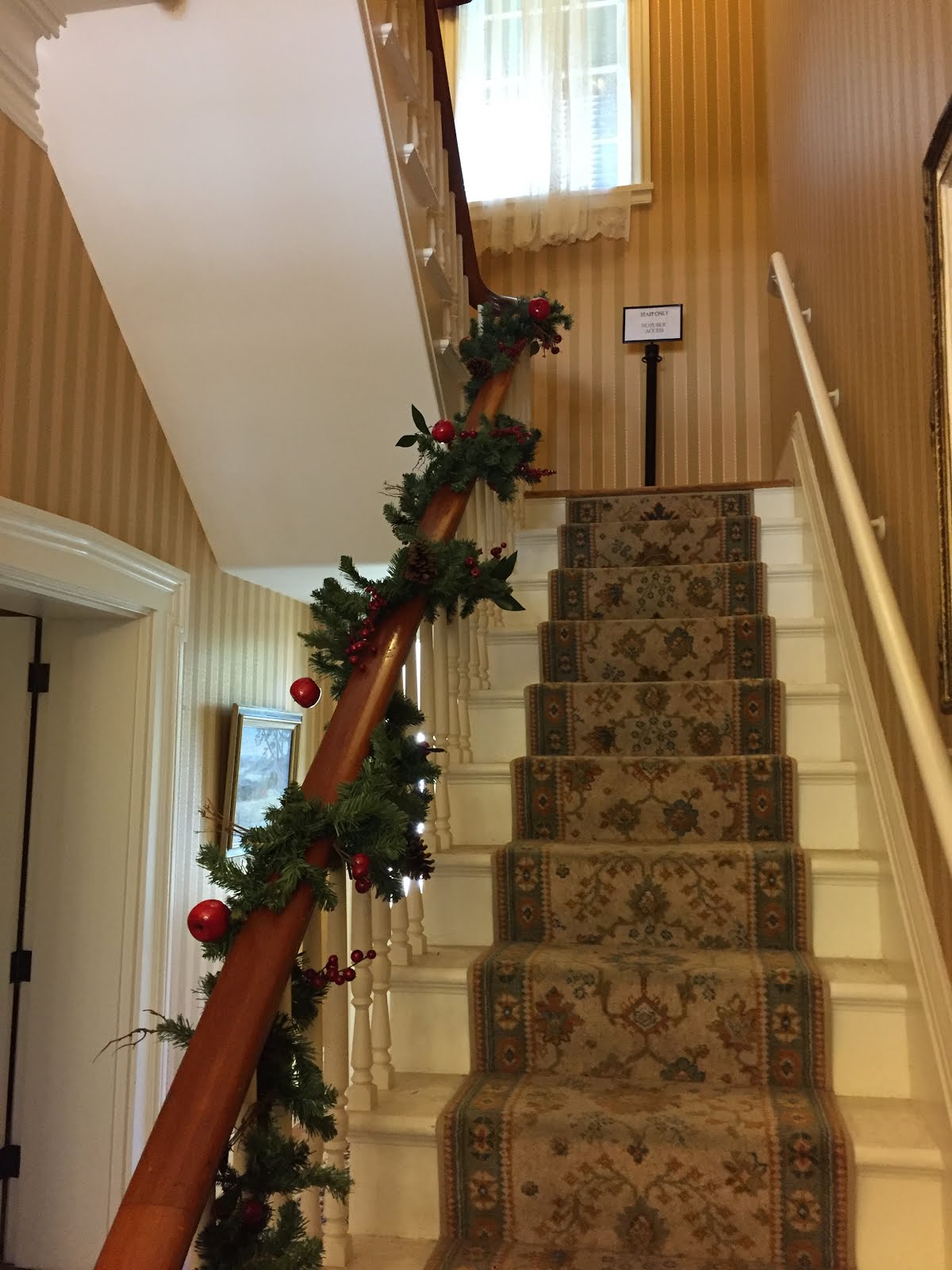 Billy Wardle family blog Casa Grande Christmas Decorations