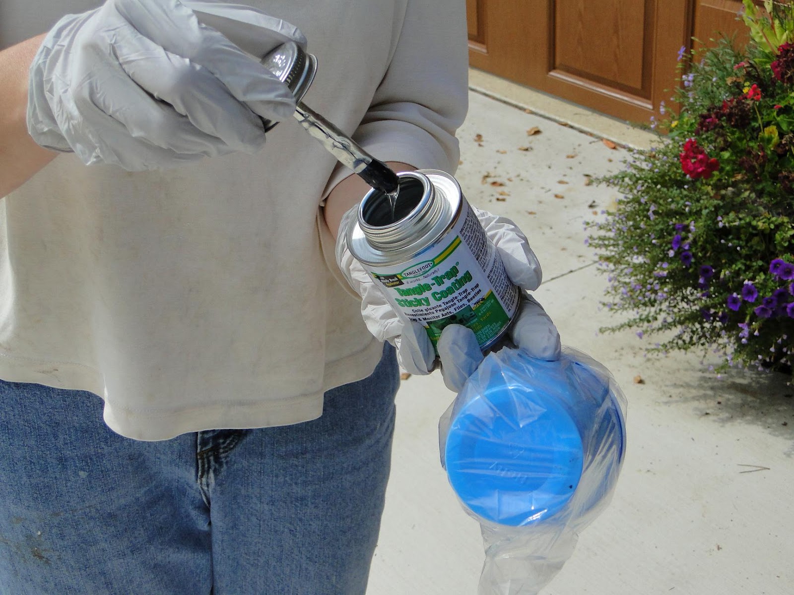 Trapping Deer Flies in Livingston County, Michigan making and using