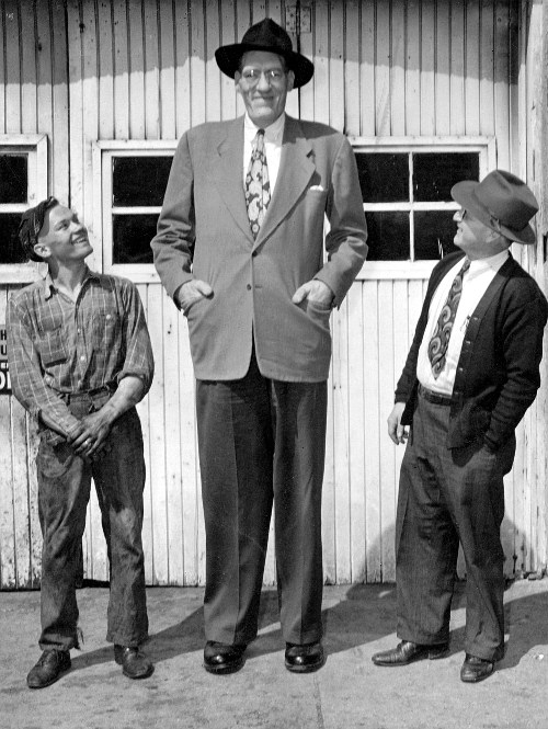 Sha Fara: SUKARNYA MENJADI MANUSIA GERGASI