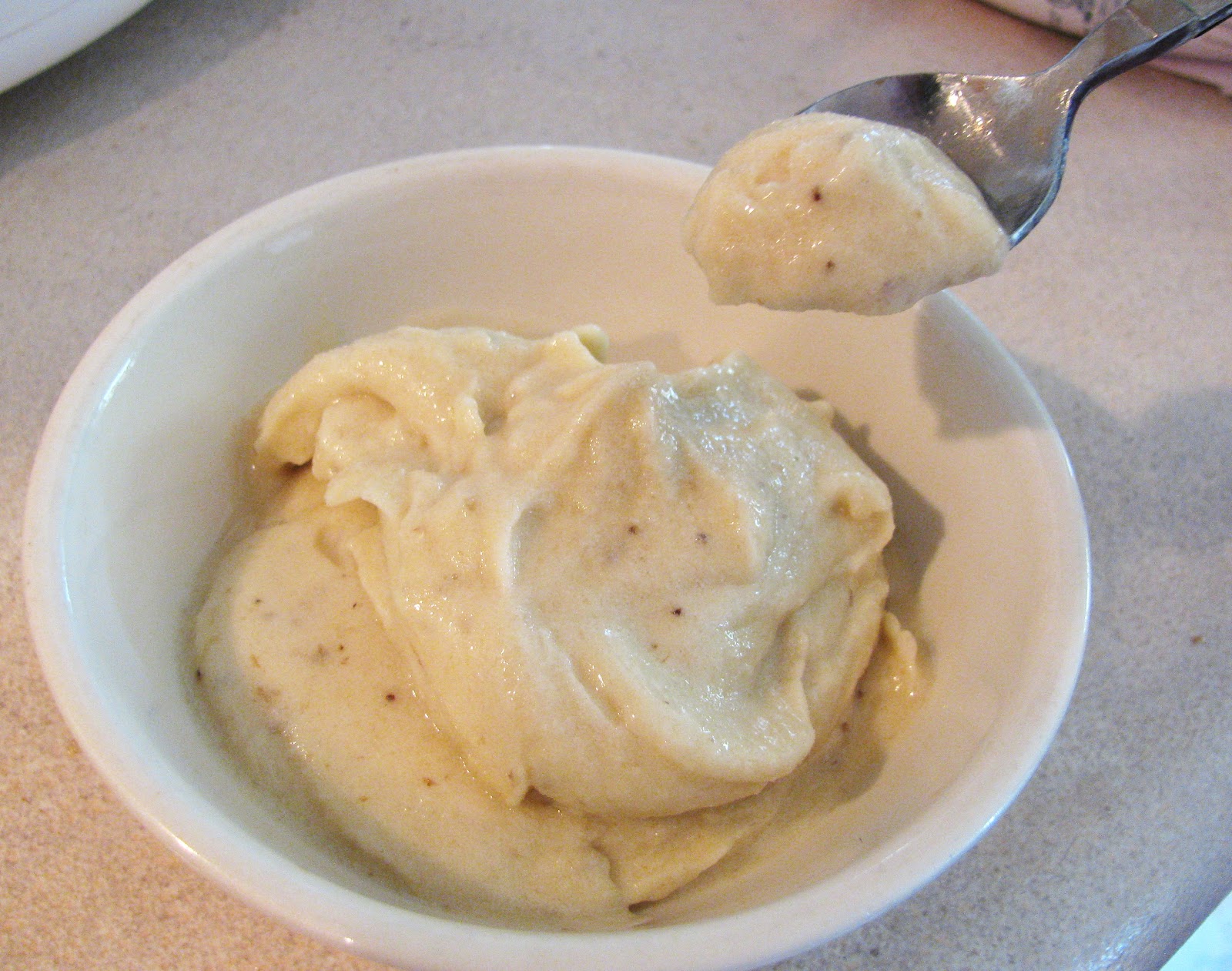 DIY Yonanas (Turn Frozen Bananas into "Ice Cream") Proverbs 31 Homestead