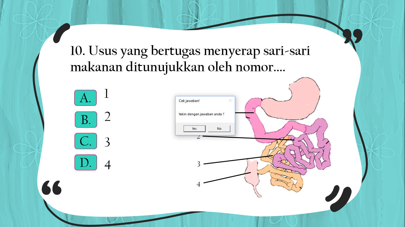 Download Sistem Pencernaan Pada Manusia Kelas 5 Sd Background
