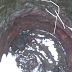 11 years old boy spends night at the bottom of 15-meter-deep well video