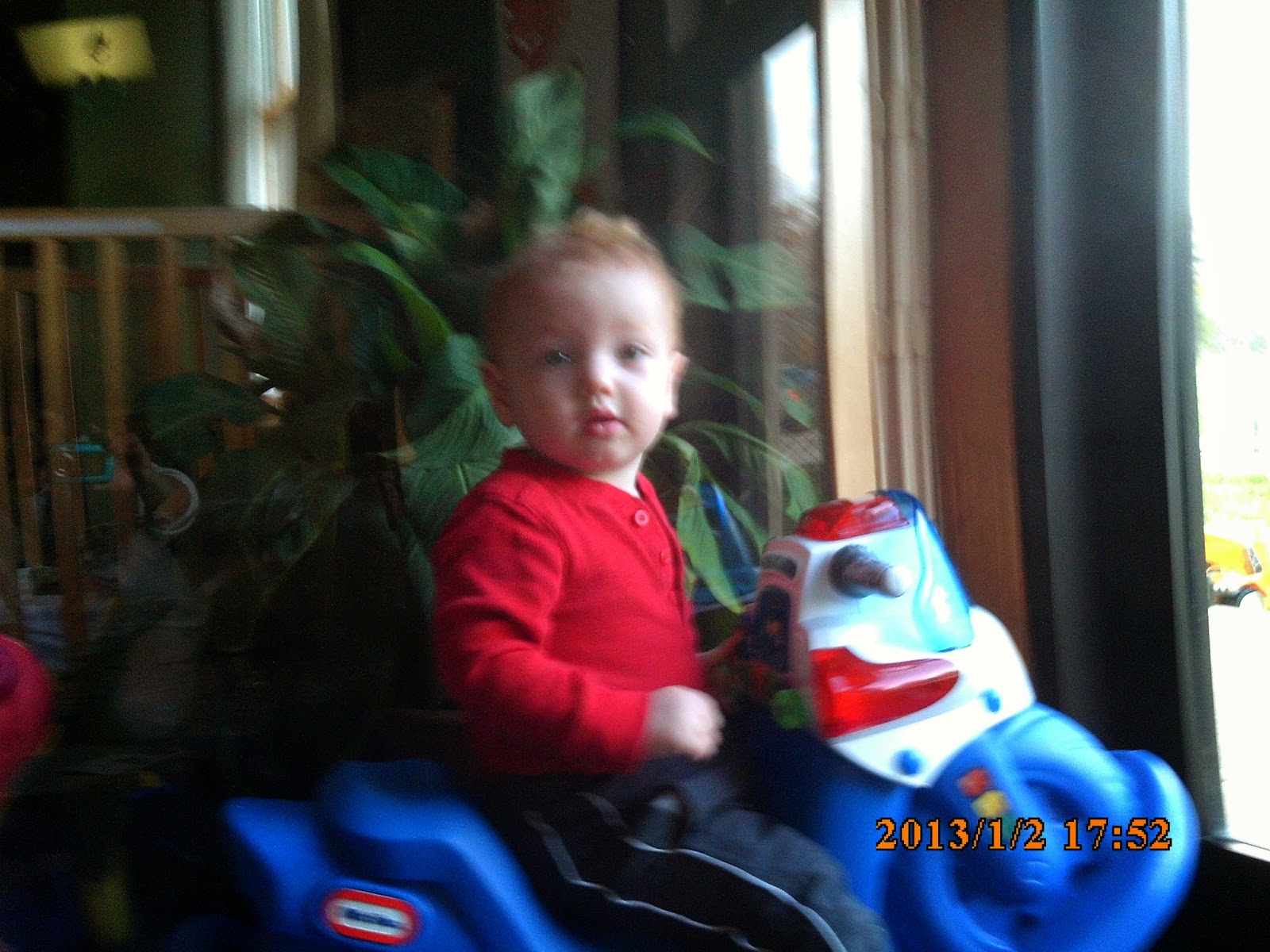 Elc infants