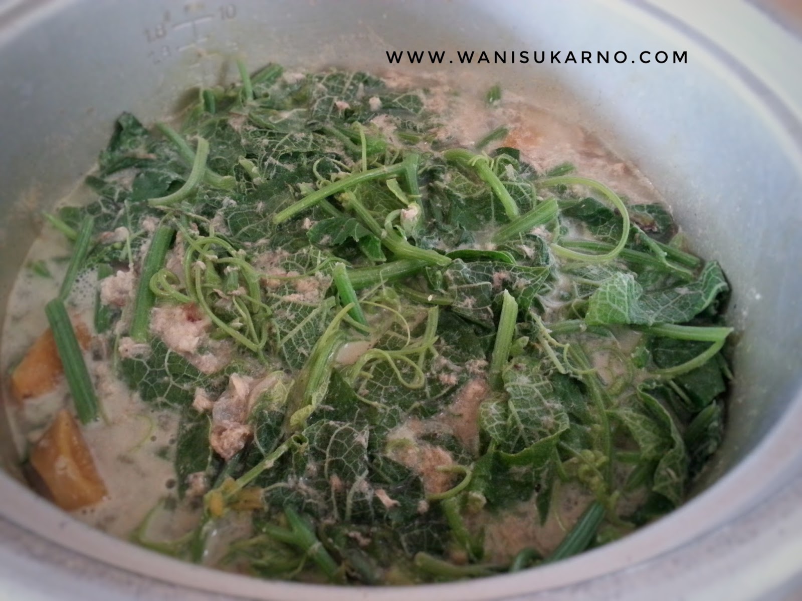 Masak Lemak Pucuk Labu Kelantan Style