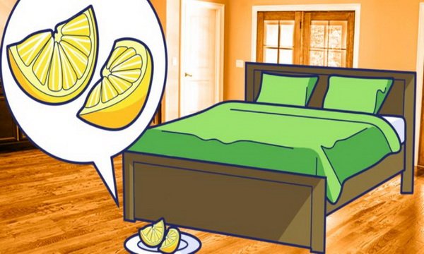 Put Each Evening Two Lemon Slices Next To Your Bed