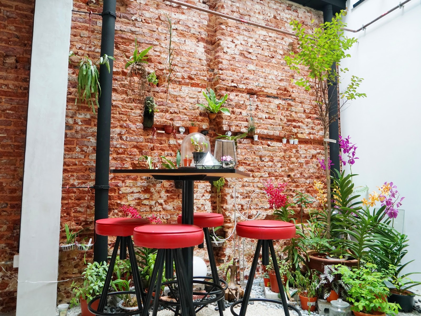 PinkyPiggu Epiphyte Neil Road A Café For Galaxy Cakes And Edible