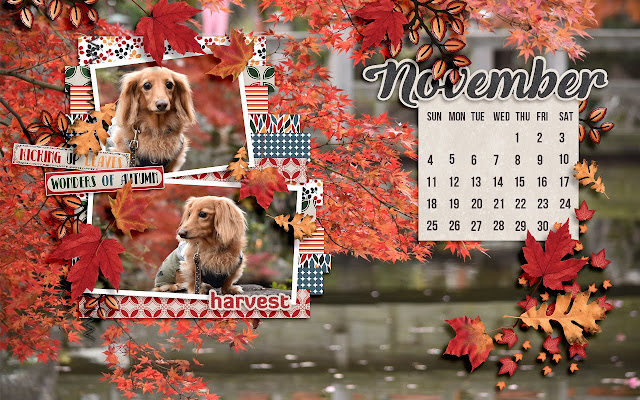 November 2018 Calendar