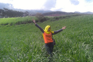 13 Foto-Foto Unik dan Menarik Di Hutan Pinus Precet, Sumbersuko, Wagir, Malang Foto Kedua Di Hutan Pinus Precet, Sumbersuko, Wagir, Malang