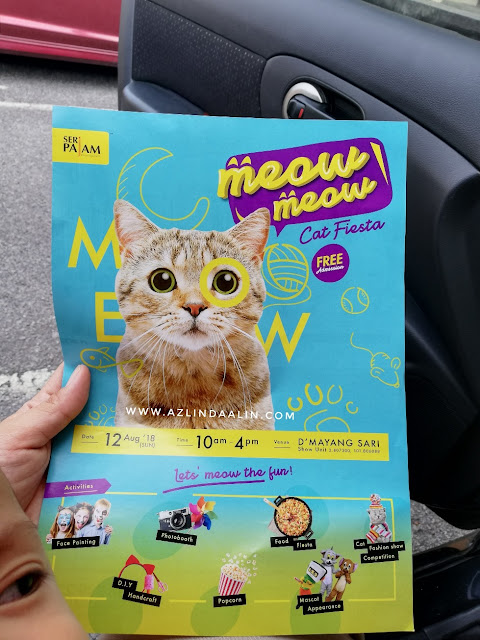 CAT FIESTA DI D MAYANG SARI SERI PAJAM CAT FIESTA DI D MAYANG SARI SERI PAJAM