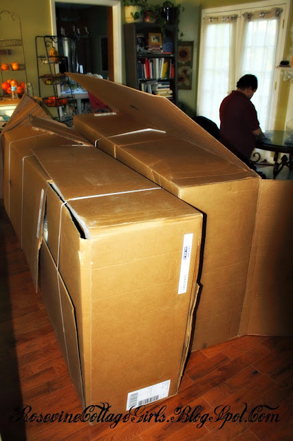 photo Ikea couch in big boxes in a living room | Ikea couch review | rosevinecottagegirls.com