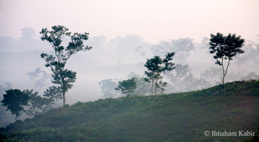Essay on winter morning in bangladesh picture
