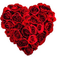Rose day messages 2015