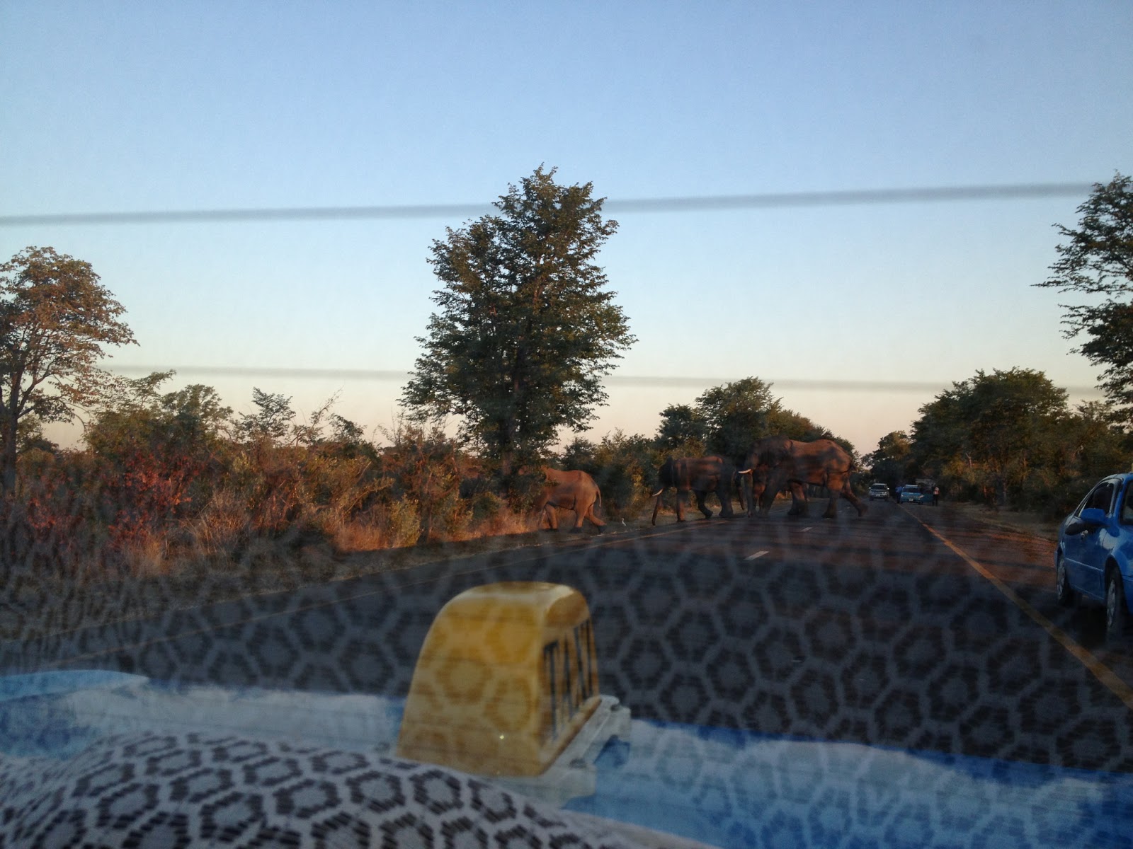 International Experience Zambia: Week 10 – Cultural