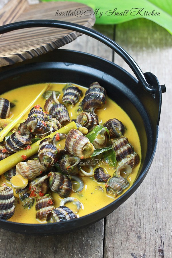Resepi Masak Lemak Siput Sedut Kongsi Resepi