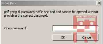 password berhasil ditambahkan ke dokumen pdf
