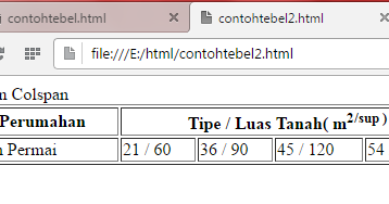 Contoh Tabel HTML | Muhammad Hamzah Affandi