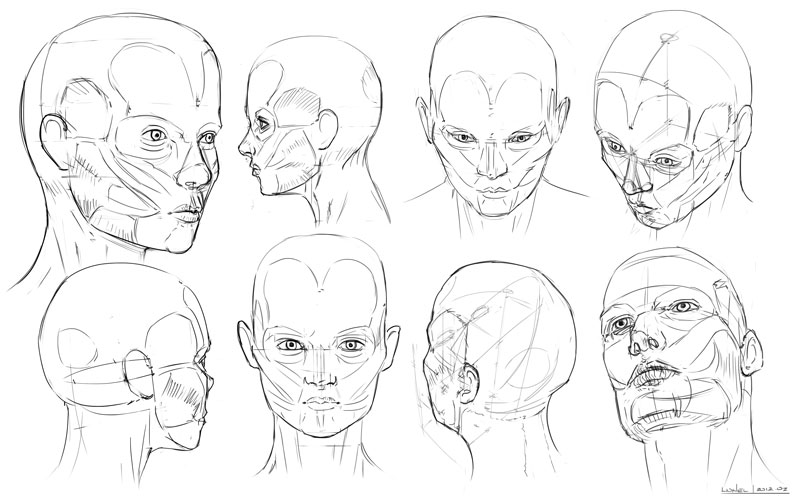 Lionel Designs: Human Head