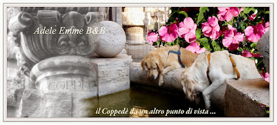 golden retriever al quartiere Coppedè, via Dora Vickj e Uendj a salutare i pesci del Coppedè