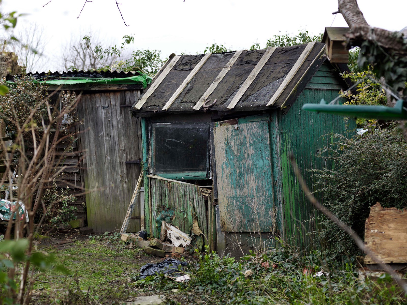that's not my age: that is my age: garden sheds