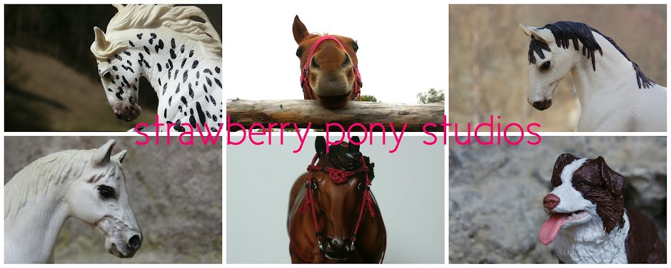 Strawberry Pony Studios
