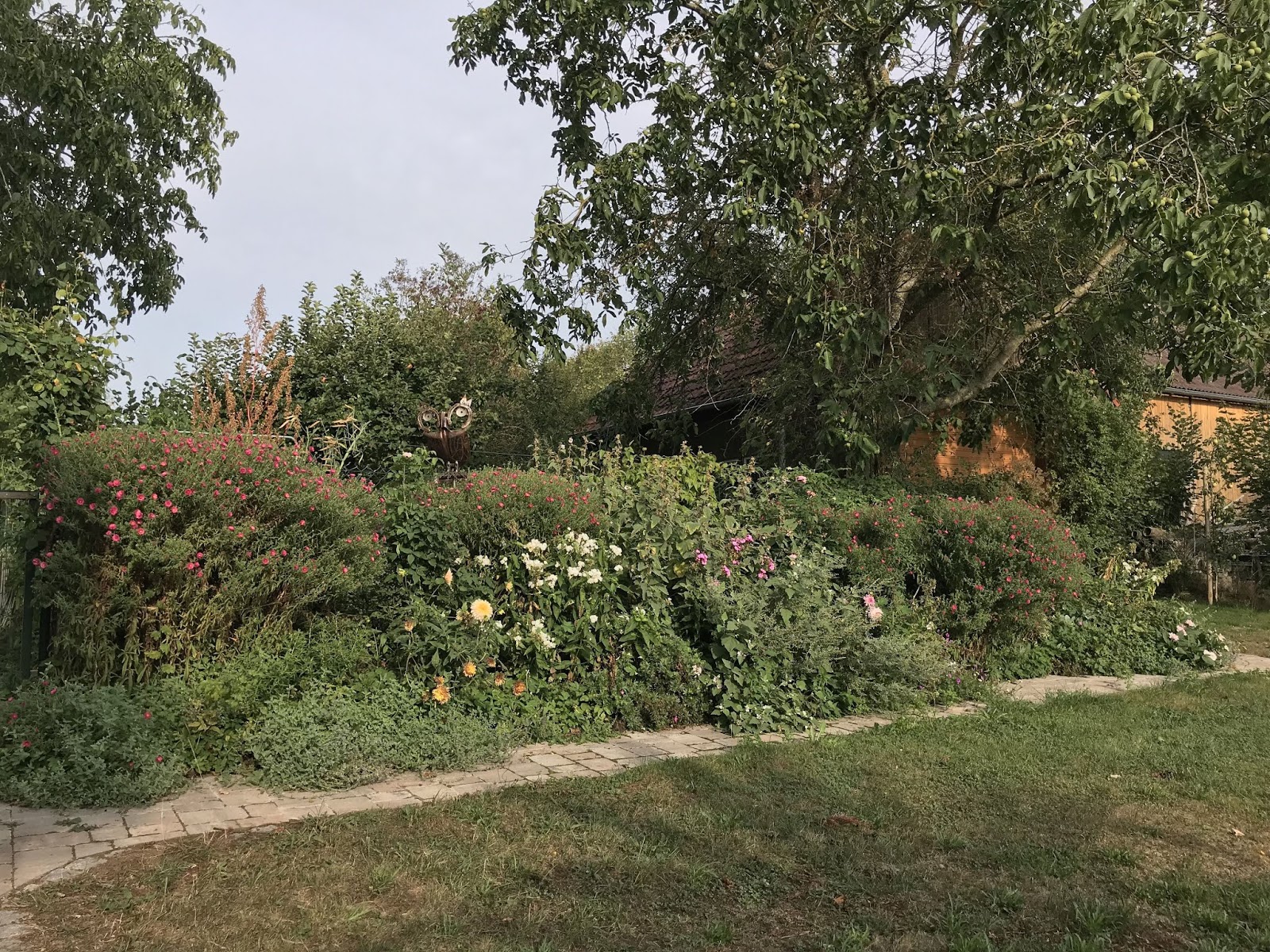 Carpediem Living Gartentagebuch Tatort Garten