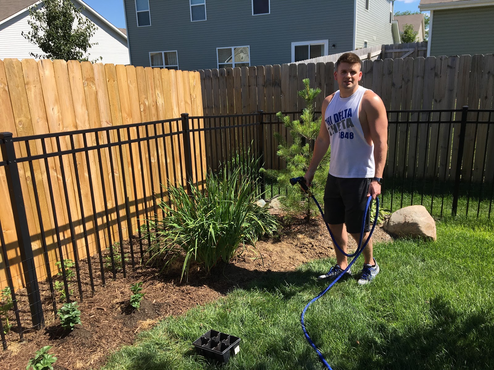 Begonia Houseplant From A Single Leaf