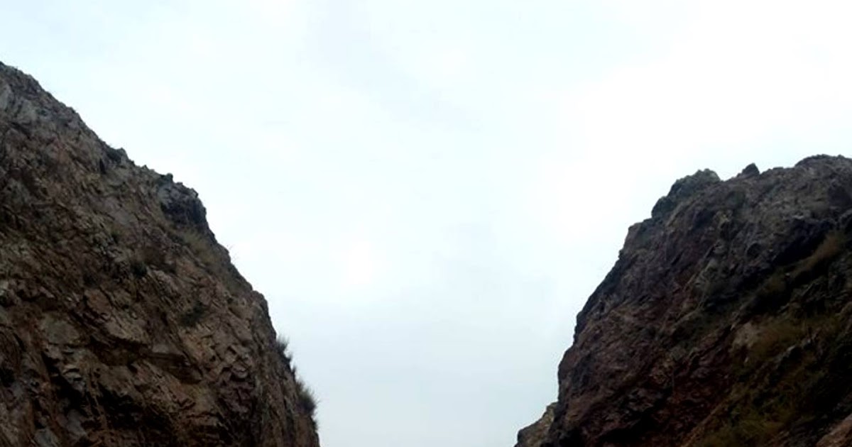 Call For Entries: 7th Woodpecker International Film Festival 2019