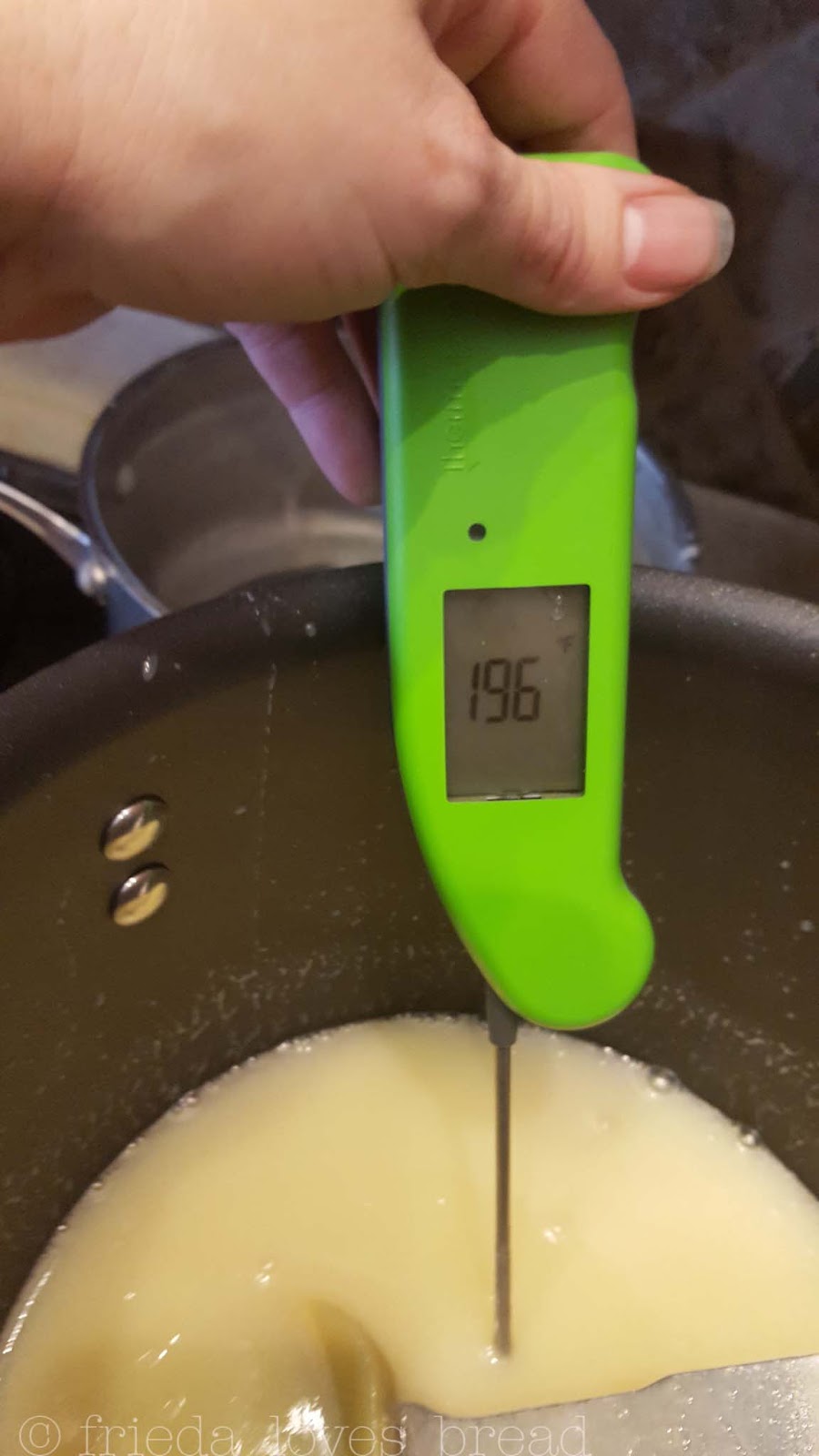 Frieda Loves Bread Thermapen Digital Food Thermometer A Cool Kitchen