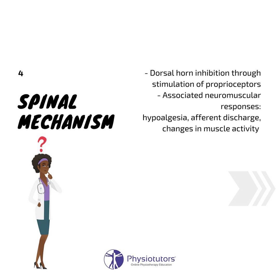Top 5 Fridays! 5 Proposed Mechanisms of Manual Therapy Modern Manual