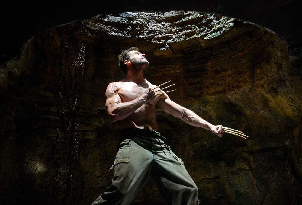 The Wolverine 2 The Wolverine 2