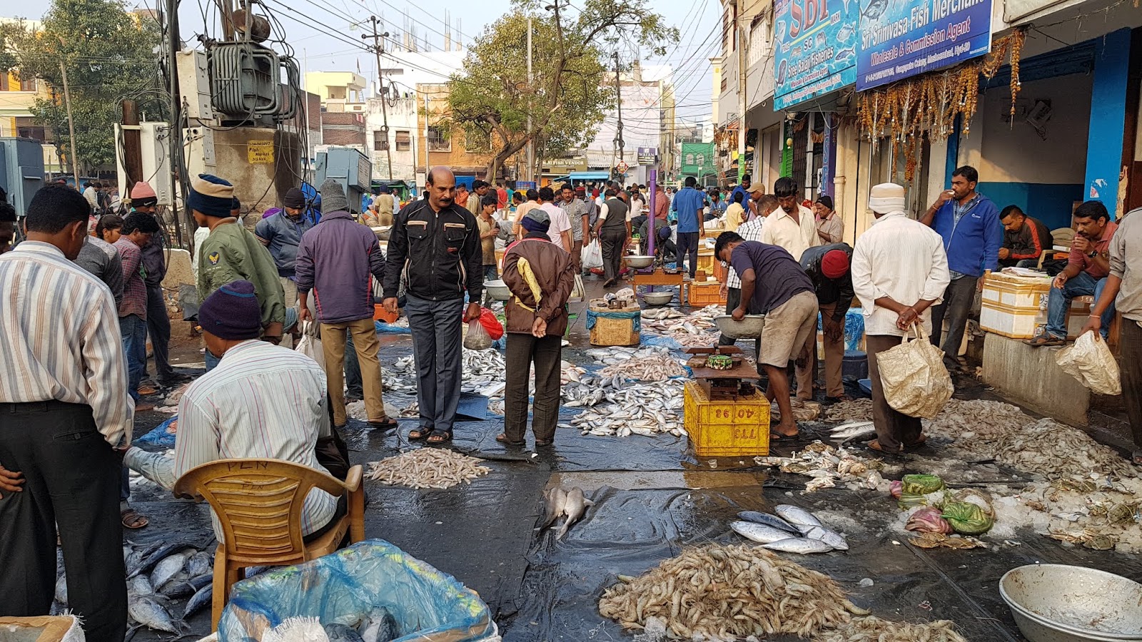 Raghu's column! Ramnagar Fish Market Our City’s Largest Fish Market!