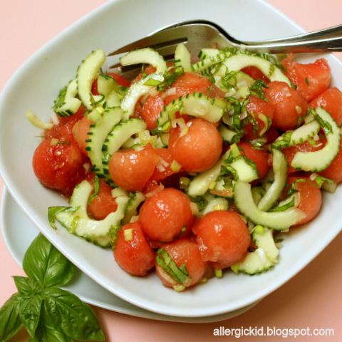 the-allergic-kid-simple-watermelon-cucumber-salad