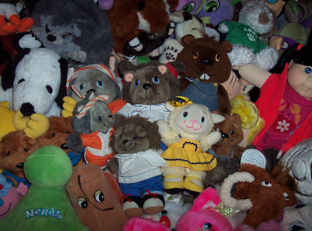 Veni Vidi Dolli Overview Get Along Gang