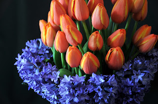 Hyacinth and tulip arrangement