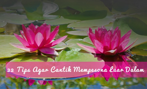 22 Tips Agar Cantik Mempesona Luar Dalam 22 Tips Agar Cantik Mempesona Luar Dalam