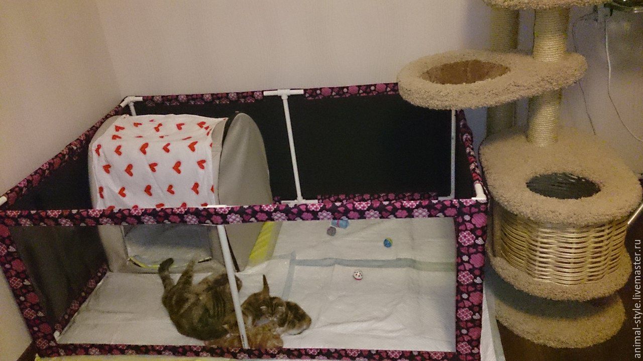 How to Create a Kitten Playpen