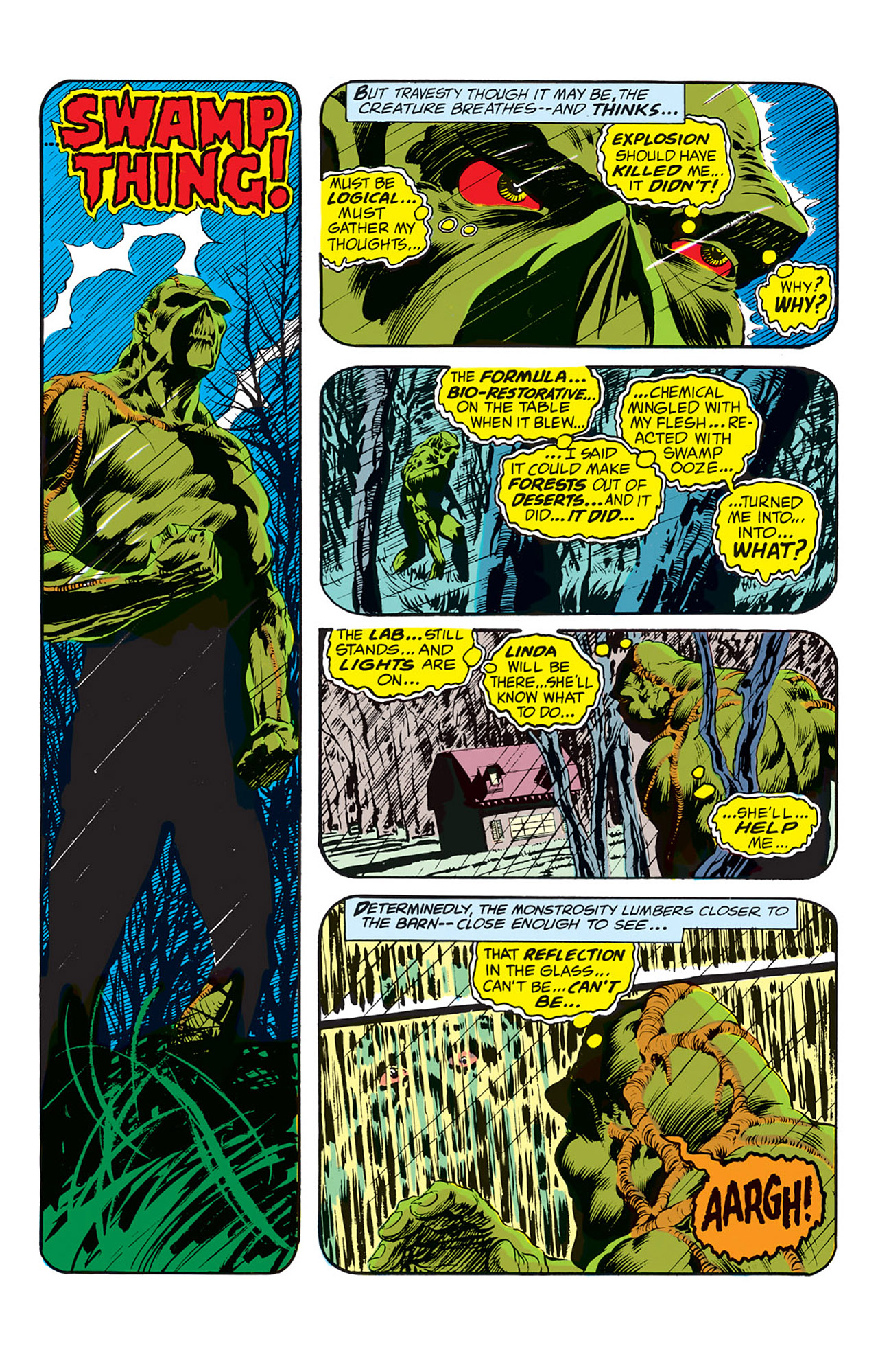 Read online Swamp Thing (1972) comic -  Issue #1 - 17