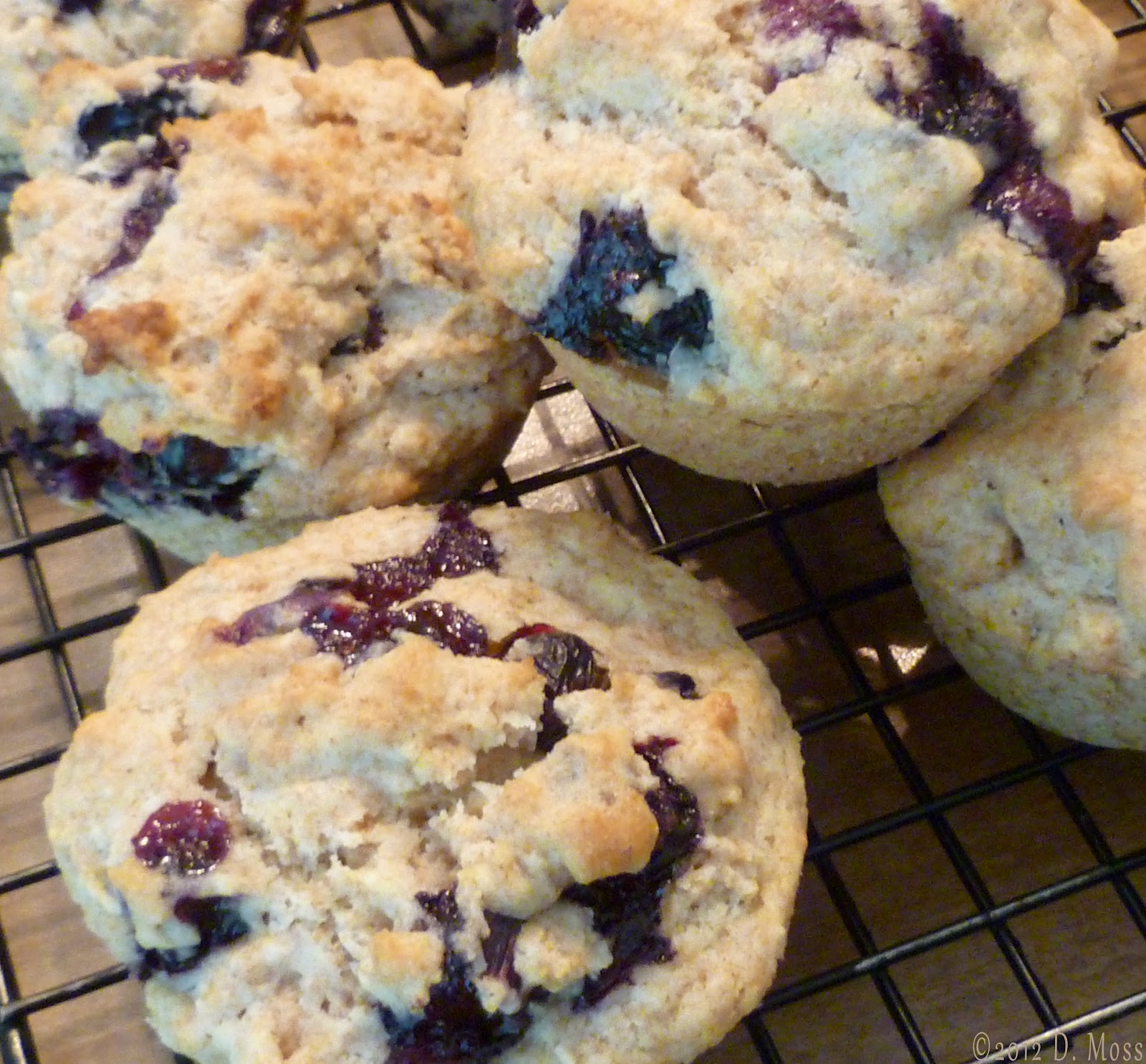 the cat and the bee Blueberry Muffins