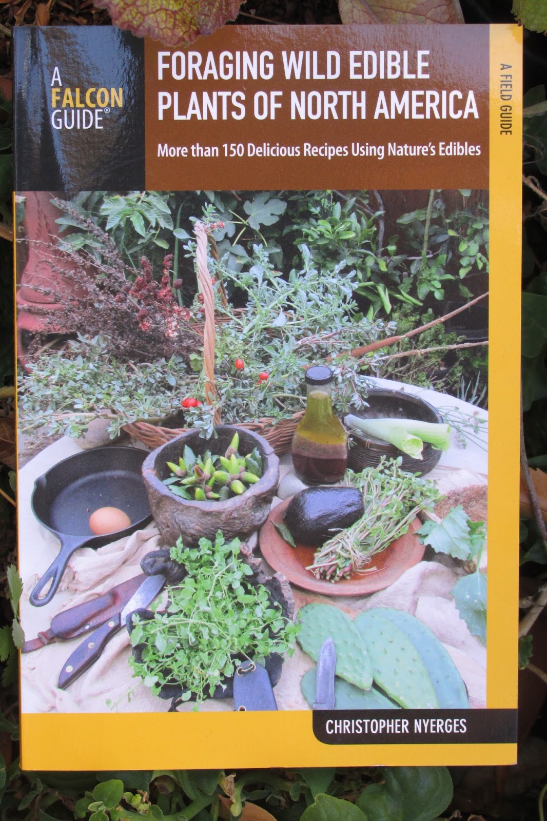 Wisdom Quarterly American Buddhist Journal Foraging