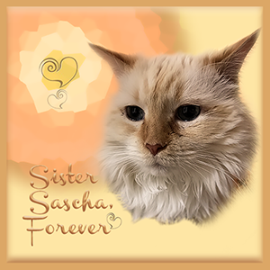 Sister Sascha Forever
