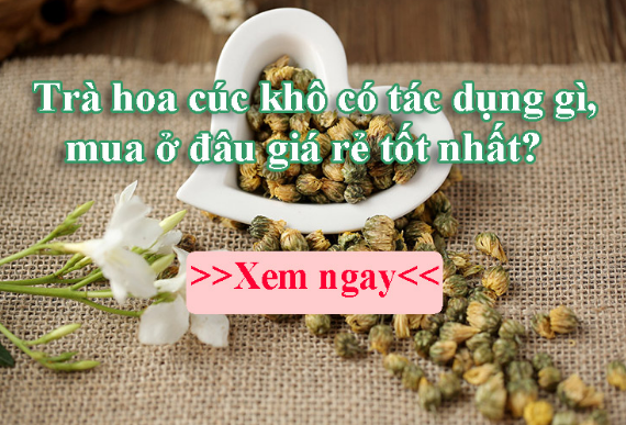 Mua Trà Hoa Cúc Khô Nguyên Bông Ở Đâu Hà Nội Mua Trà Hoa Cúc Khô Nguyên Bông Ở Đâu Hà Nội