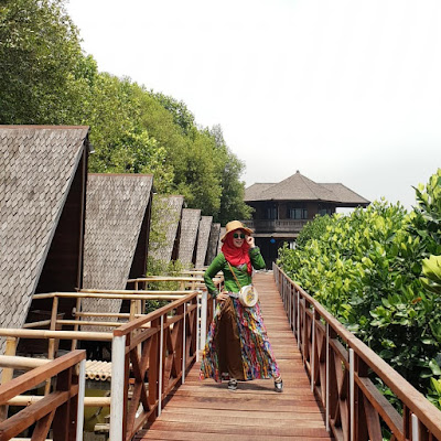 Foto Keren Hutan Mangrove PIK