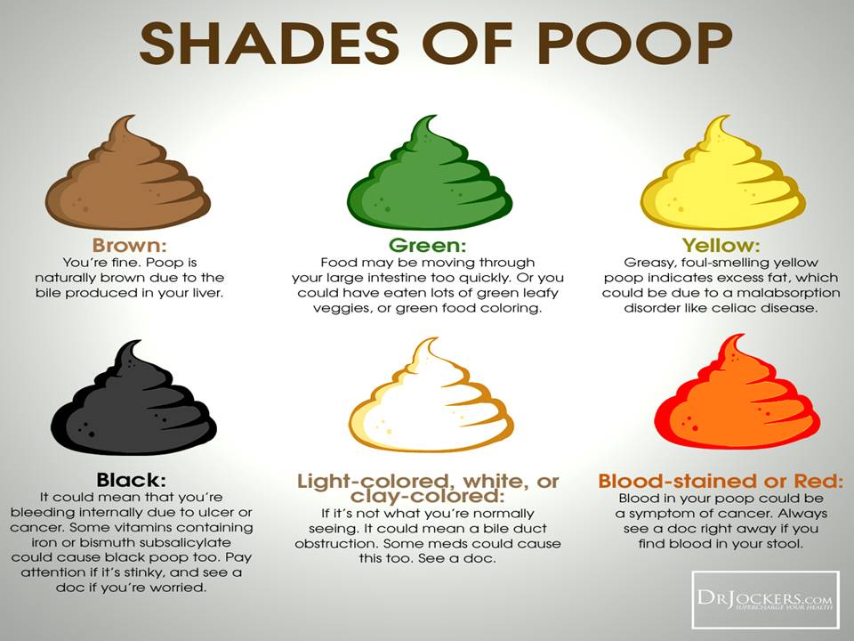 Adult Poo Colour Chart