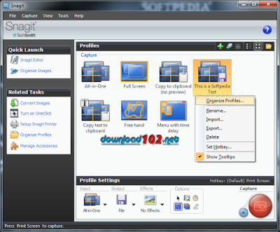 snagit download windows 11